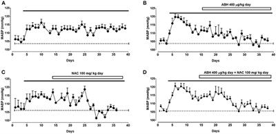 Chronic Intermittent Hypoxia-Induced Vascular Dysfunction in Rats is Reverted by N-Acetylcysteine Supplementation and Arginase Inhibition